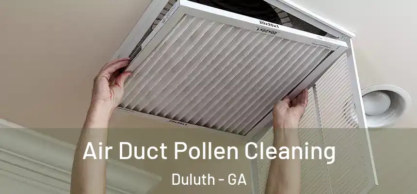  Air Duct Pollen Cleaning Duluth - GA