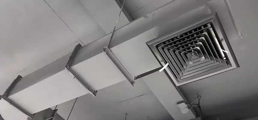 Our Pest Removal From Ducts Services in Duluth, GA