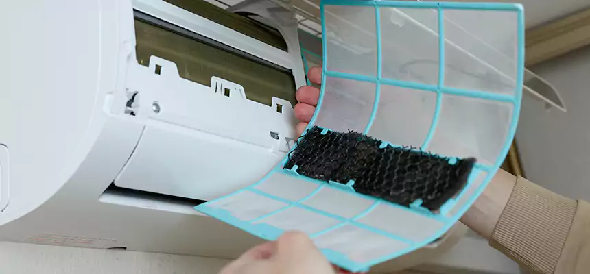 Gentle Ductwork Odor-Control Pet Dander Duct Cleaning in Duluth, GA