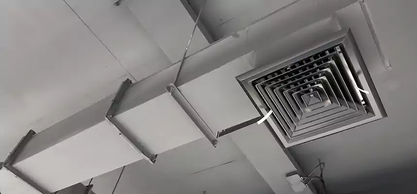 Our Rodent Droppings In Vents Services in Duluth, GA