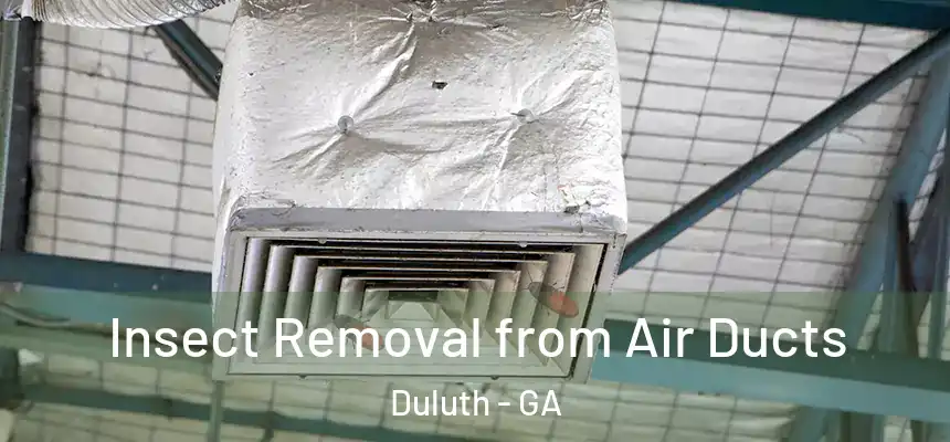  Insect Removal from Air Ducts Duluth - GA