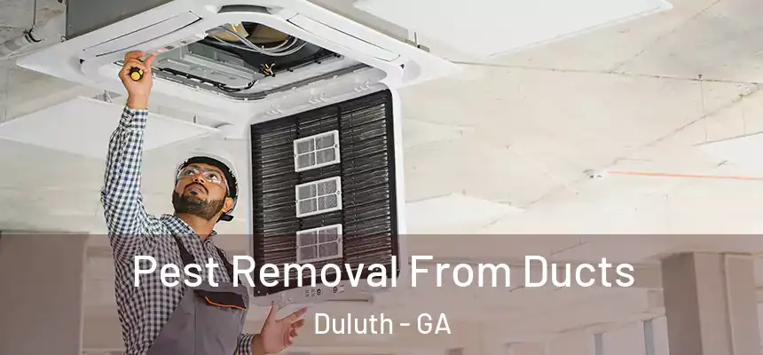  Pest Removal From Ducts Duluth - GA