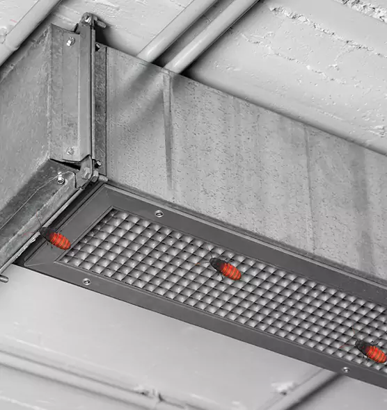 About Air Duct Cockroach Removal in Duluth, GA