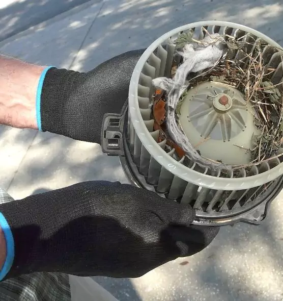 About Air Duct Rat Removal in Duluth, GA