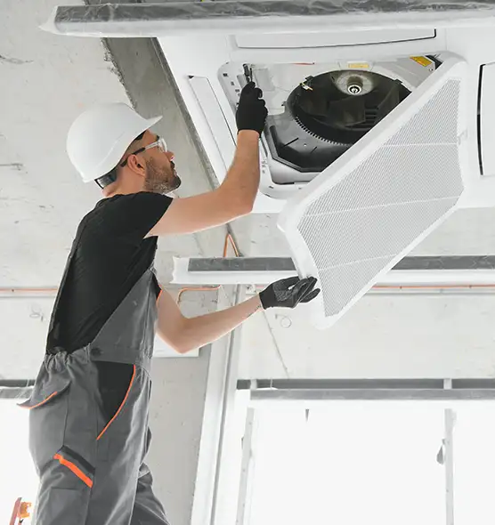 About Air Duct Rodent Removal in Duluth, GA