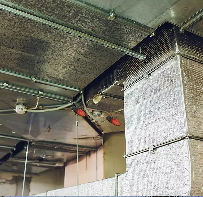 Why Homeowners & Businesses Trust Us in Duluth, GA?